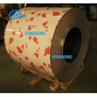 Wood / Marble / Brick / Camouflage / Character Pattern Printed PPGI Steel Coils